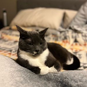 Meet your Posher, Jordan